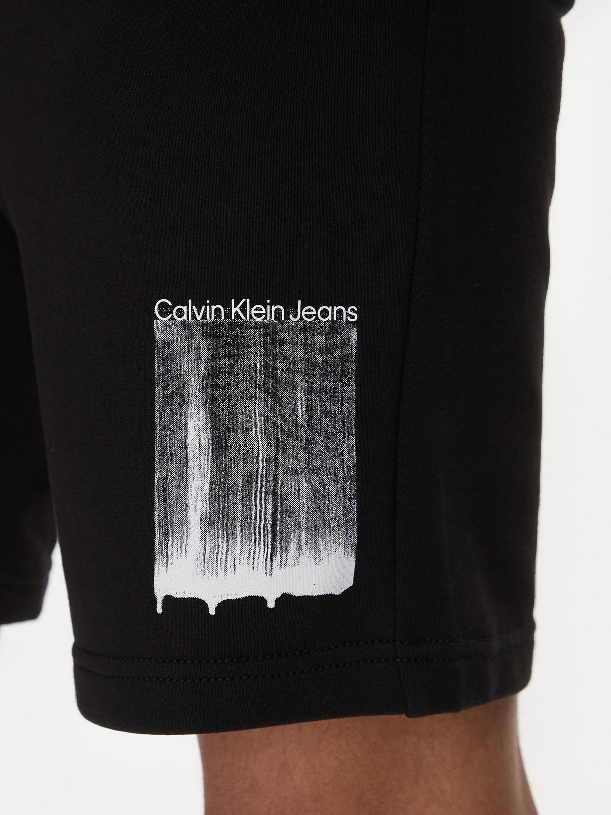 Calvin klein Brush Stroke Sports short