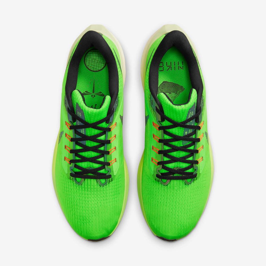 NiKe Pegasus 39 Men Shoes