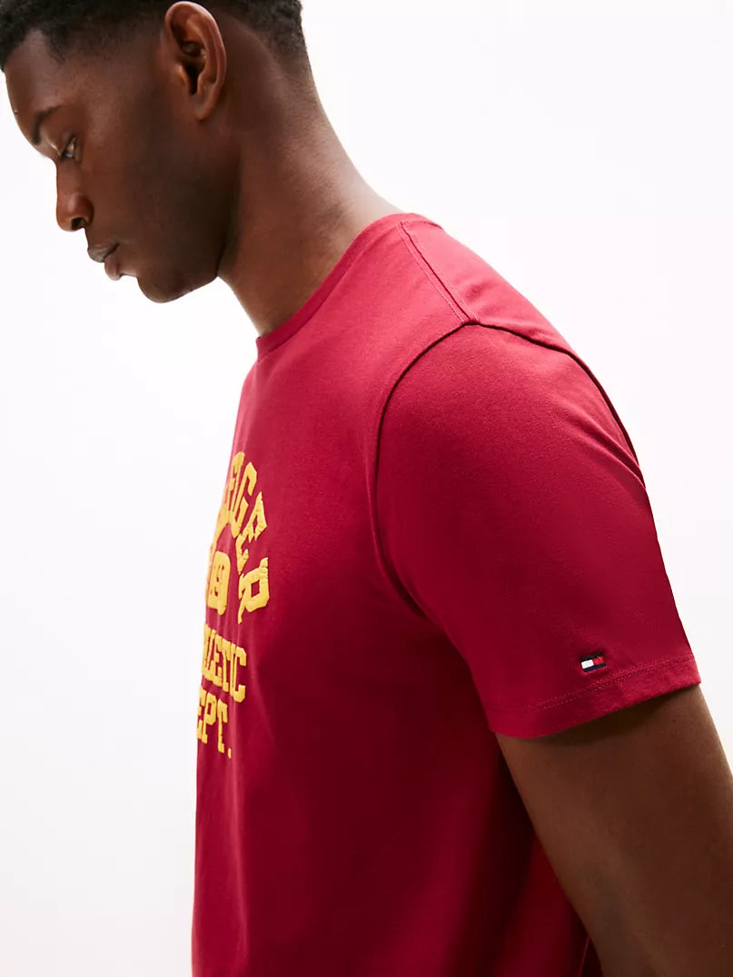 Short Sleeve T-Shirt Tommy Hilfiger regular fit _ Burgundy