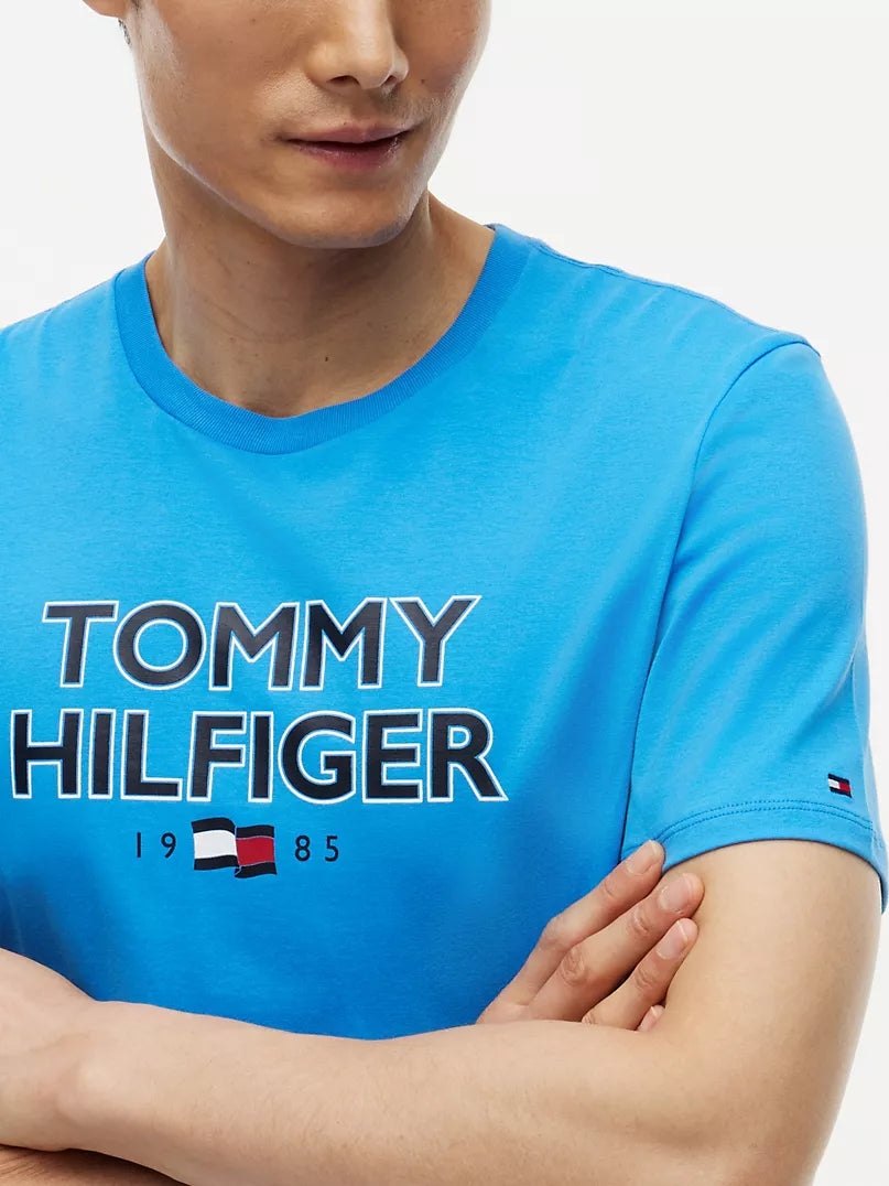 Tommy Hilfiger bold T_shirt Regular Fit