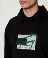 Tommy Hilfiger Hoodies