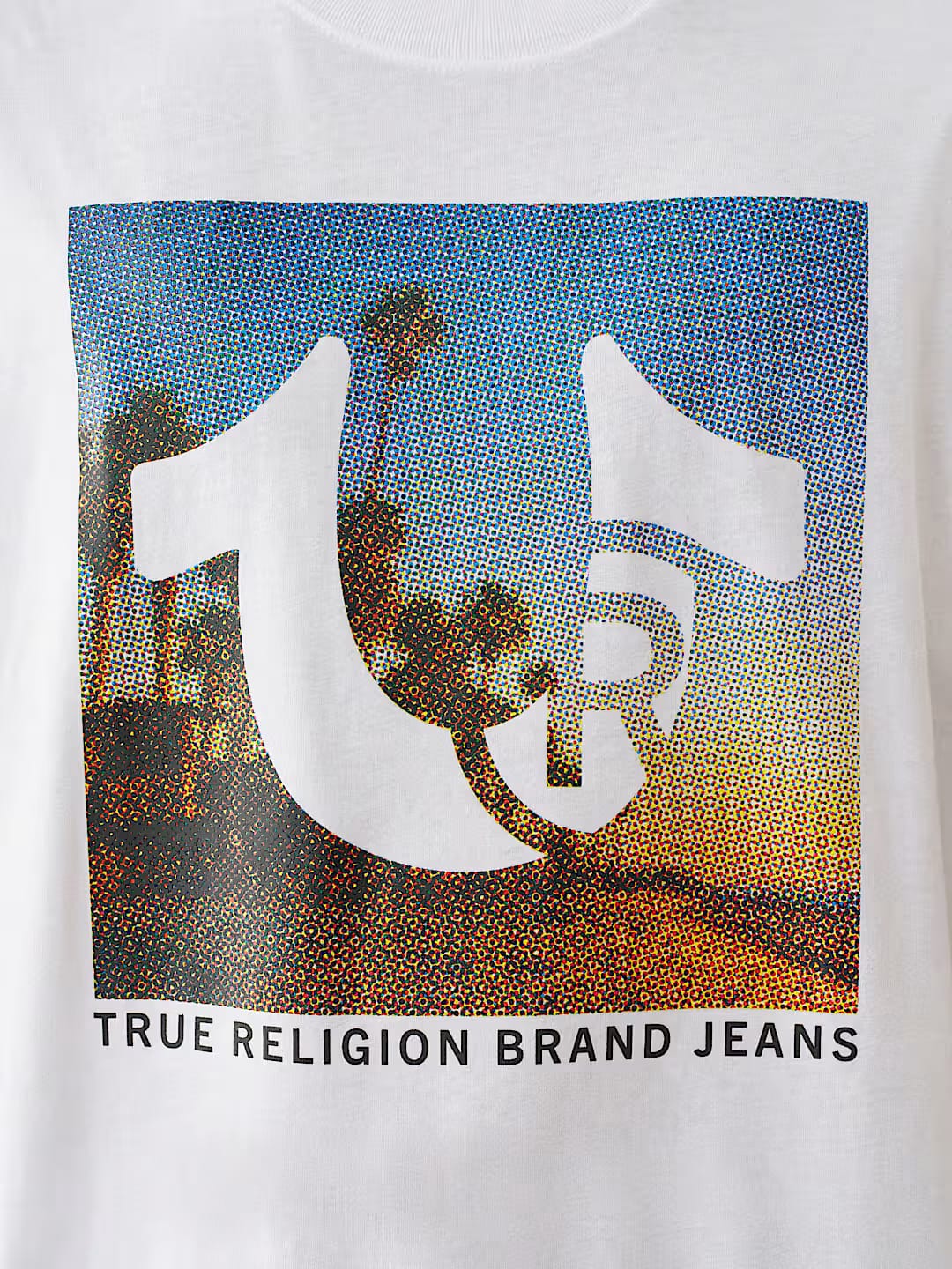 True Religion horseshoe beach tee  regular fit _ White