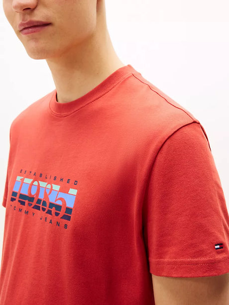 Tommy Jeans 1985 Stripe Graphic T-Shirt