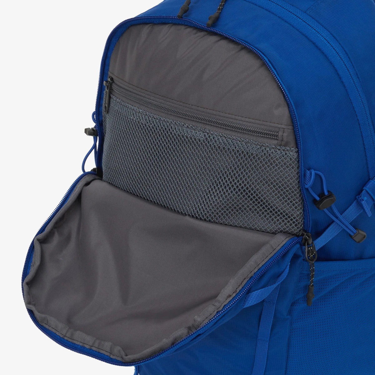 The North Face ASCEND Backpack Bag