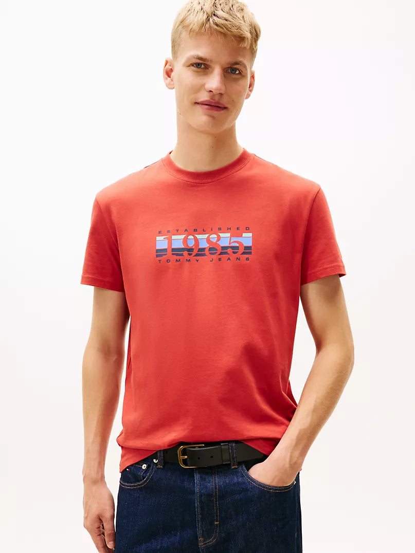 Tommy Jeans 1985 Stripe Graphic T-Shirt