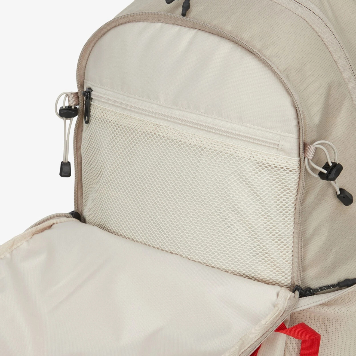 The North Face ASCEND Backpack Bag