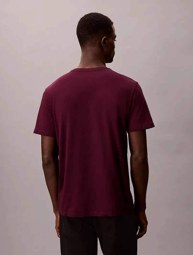 New York Logo Graphic Classic T-Shirt Calvin Klein jeans  regular fit _ Purple