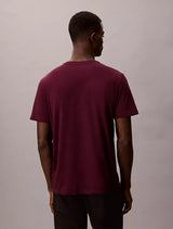 New York Logo Graphic Classic T-Shirt Calvin Klein jeans  regular fit _ Purple