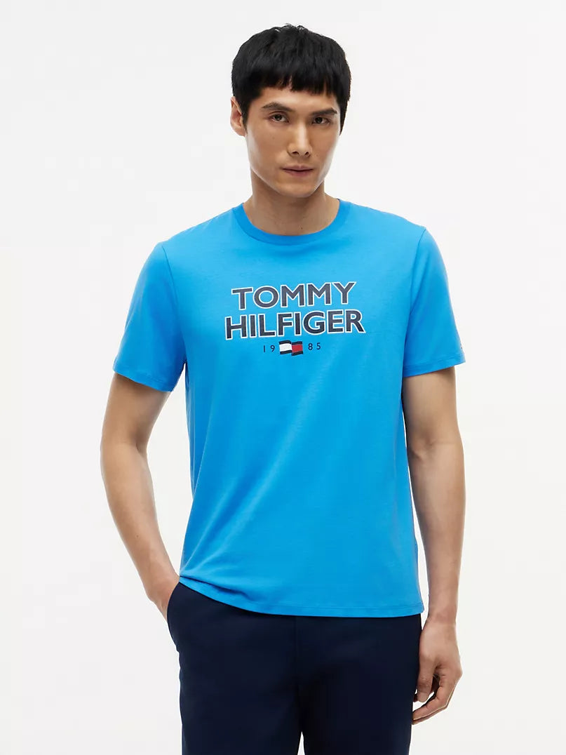 Tommy Hilfiger bold T_shirt Regular Fit