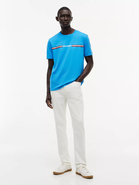Tommy Hilfiger logo and stripe T_shirt Regular Fit