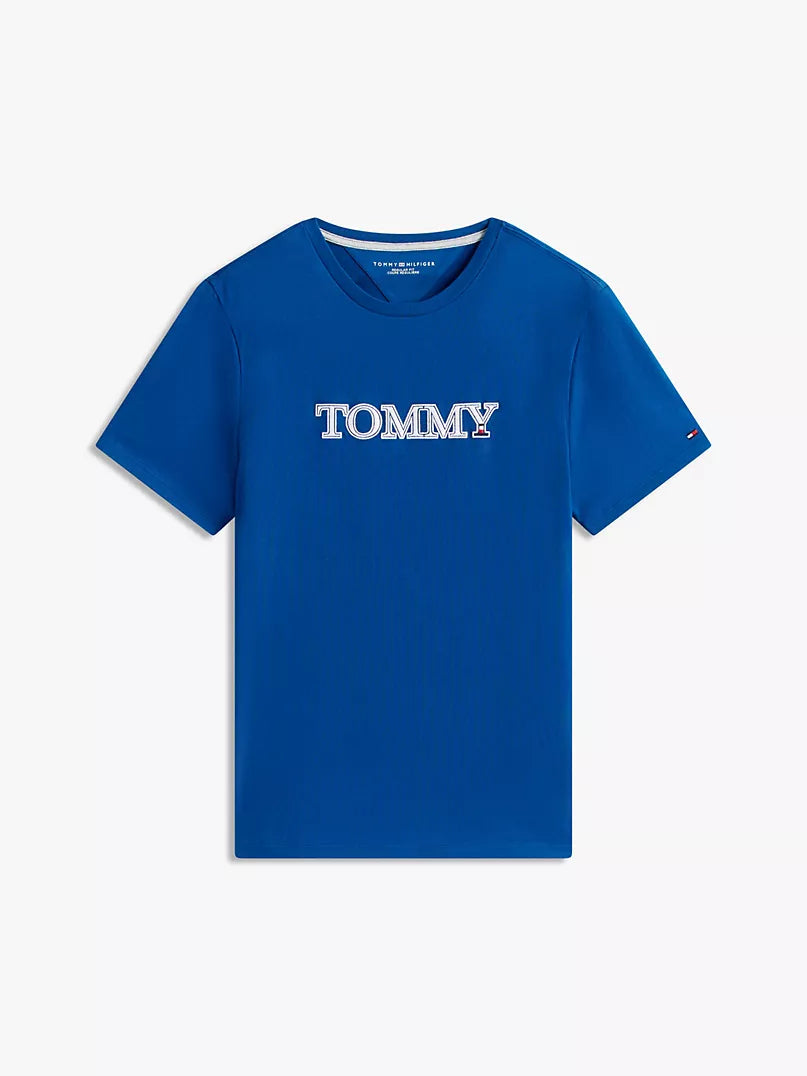 T-Shirt Tommy hilfiger Graphic Logo regular fit _ Ndego