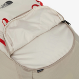 The North Face ASCEND Backpack Bag